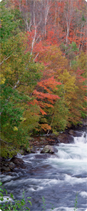 Serenity Prayer Water Falls